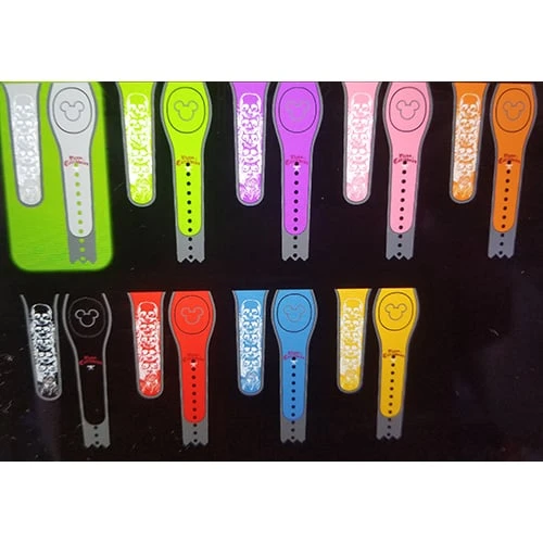 Disney Magicband 2 Bracelet - Customized - Pirates - Skulls 4 Disney Magicband 2 Bracelet - Customized - Pirates - Skulls - Image 2